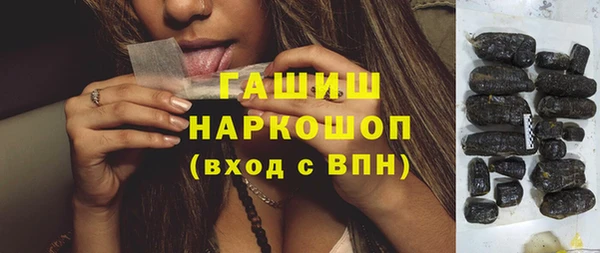 спиды Богородицк