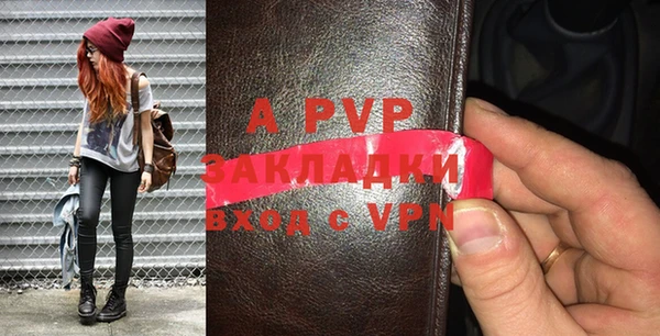 спиды Богородицк