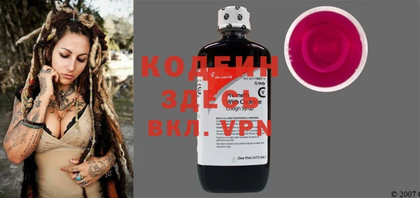 спиды Богородицк