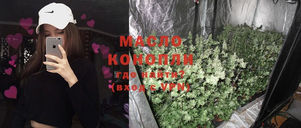 спиды Богородицк