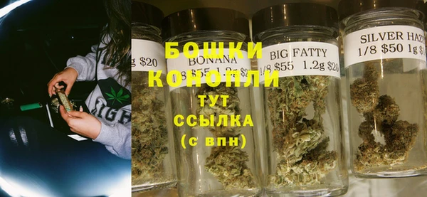 спиды Богородицк