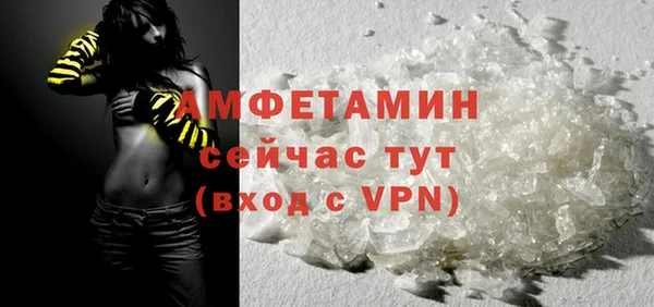 спиды Богородицк