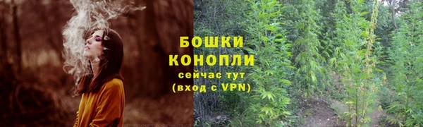 ешки Богданович