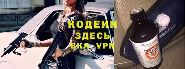 спиды Богородицк