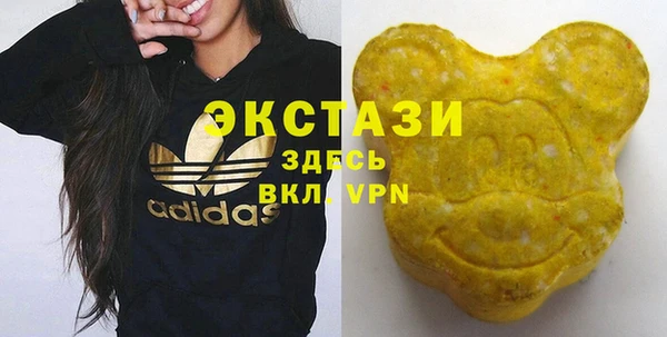 спиды Богородицк