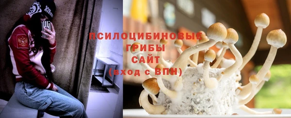 ешки Богданович